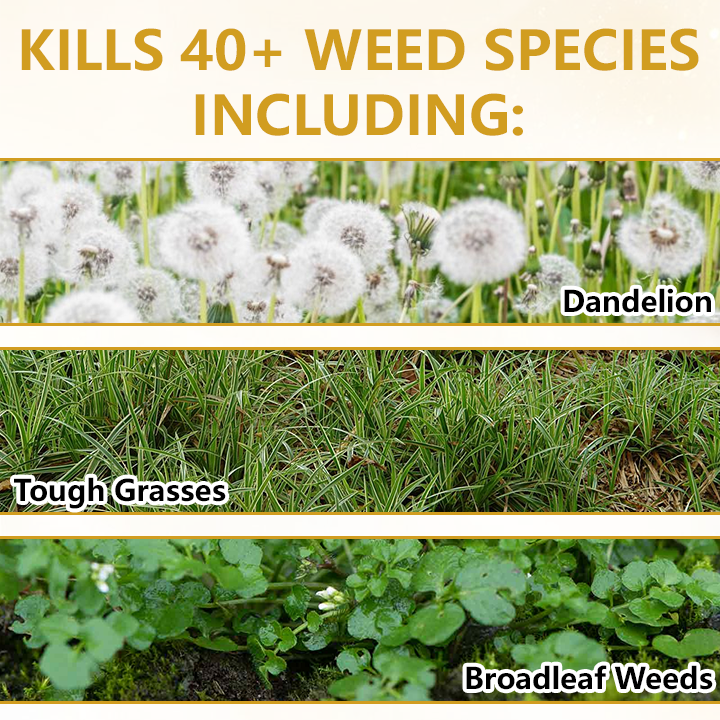 🏆 Official Store |Timilk® Pro Strength 2-in-1 Herbicide: Fast Acting Results on Glyphosate-Resistant Weeds🔥