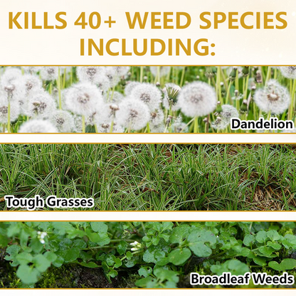 🏆 Official Store |Timilk® Pro Strength 2-in-1 Herbicide: Fast Acting Results on Glyphosate-Resistant Weeds🔥